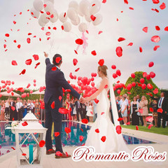 1200 Red Rose Petals – Artificial Fake Rose Flower Petals for Valentine’S Day,We