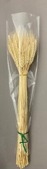 Dried White Wheat Triticum White Natural 2.5oz/8oz/16oz