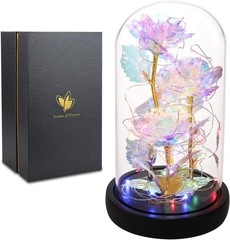 Valentines Day Gifts for Her,Valentines Decor Beauty and The Beast Rose Flowers