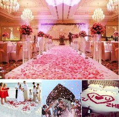 Beautiful 1000 Pcs Light Pink & White Silk Rose Petals for Parties & Weddings