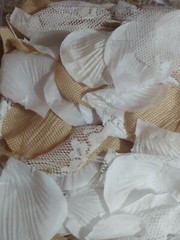 Rustic white lace burlap rose flower petals wedding party decor 300 count