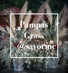 12 Large Pampas Grass (36”) Wedding Decor CA, USA BEAUTIFUL!