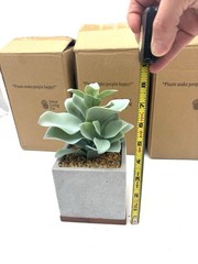 Seirai Living Co. Green (Qty 3), 8″ Artificial Faux Succulent Plants Pots, NIB