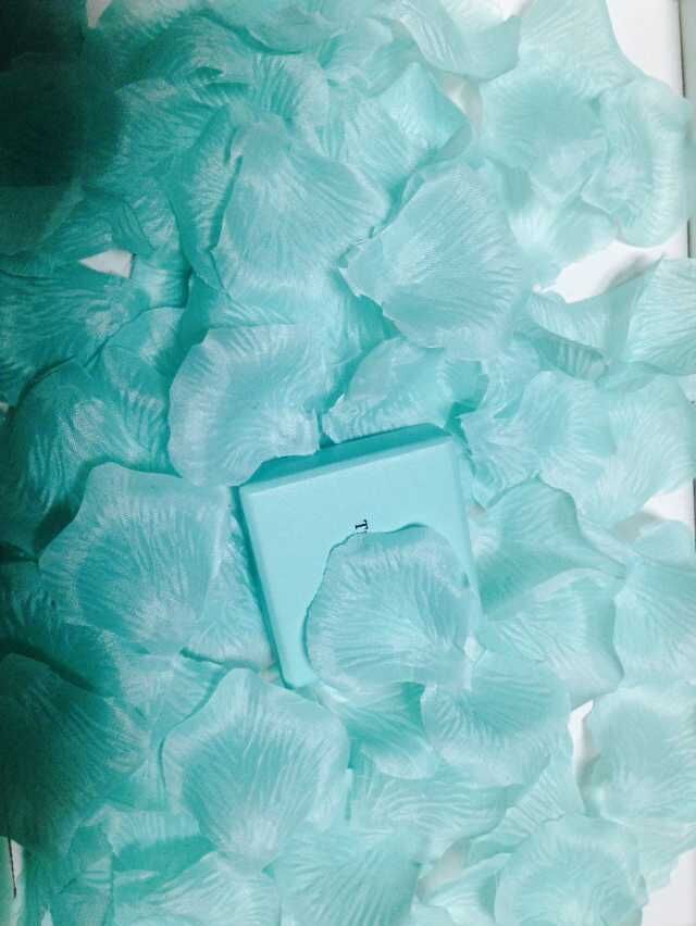 300 pcs Mint Silk Petals/Aqua Fabric Petals/Wedding Petals/ Vases Fillers (USA)