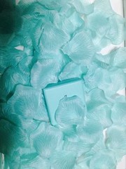 300 pcs Mint Silk Petals/Aqua Fabric Petals/Wedding Petals/ Vases Fillers (USA)