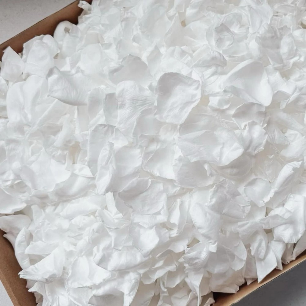 300 PCS Real White Rose Petals for Wedding 2.82oz Fresh Rose Petals for Flowe…