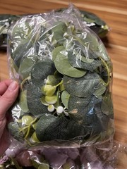 Unopened Fake Velvety Flowers And Greenery For Photo Backdrop Or Crafting