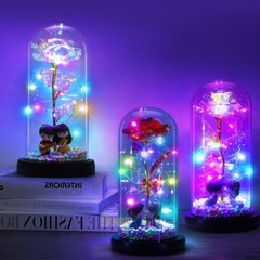 LED Eternal Galaxy Rose in Glass Enchanted Forever Flower Thanksgiving Xmas Gift