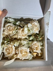 Set of 6 Serwalin Champagne Corsage with Faux Pearls NIB