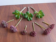 9 Artificial Succulents Grass Miniature Landscape Plants
