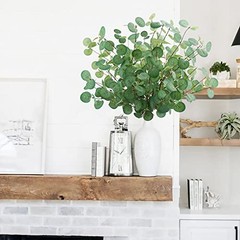 Set of 6 Green Artificial Eucalyptus Leaves – 28″ Tall – Silver Dollar