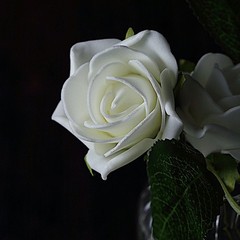 24 IVORY 2″ Mini FOAM ROSE Flowers Stems Wedding Events Decorations Supplies