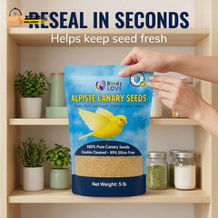 Alpiste 100% Non-Gmo Double Cleaned Canary Seed 5Lbs | Canary and Fi