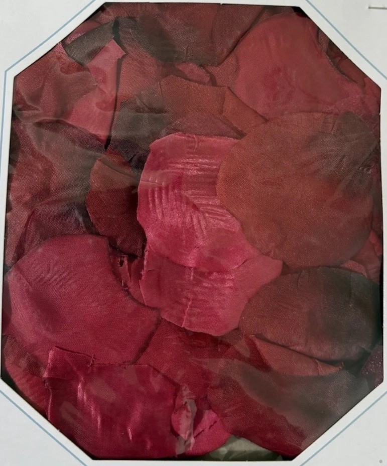 DARICE Victoria Lynn Rose Petals/Red 100 Count NEW Wedding Decor Bridal Flowers