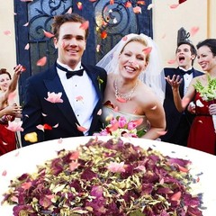 Dried Flower Petals Confetti Natural Biodegradable Wedding Party Eco Decor New