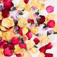 20 Cups Real Dried Rose Petals Biodegradable Wedding Flower Confetti 2 QT Mixed