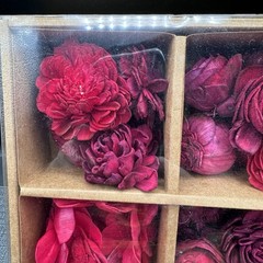 Sola Wood Flowers Boxed Set Red Craft Supply Wedding DIY Decor Fillers