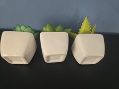 3 Green Assorted Faux Echeveria Succulent Plants White Ceramic Pots Party