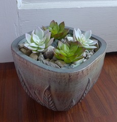 Set of 4 Artificial Succulent Plants Lotus Flower (Two Colors)
