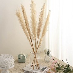 6 SPRAYS STEMS 49″ Natural Pampas Grass Dried Plant Party Events Decorations
