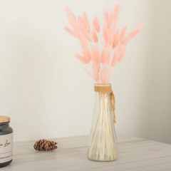 BLUSH 50 Stems 15″ Rabbit Tail Dried Natural Pampas Grass SPRAYS Party Events