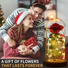 SW Preserved Rose Enchanted Red Silk in Glass Dome with LED