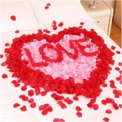 2000pcs Artificial Silk Rose Petals – Romantic Wedding, Party & Valentine Decor