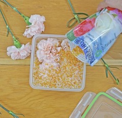 Silica Gel Flower Preservation, Wedding Bouquet Drying Crystals 1.5 lbs A5