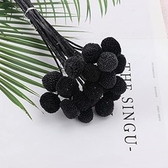 20Pcs Natural Dried Flowers Billy Balls Flowers 16″ Dried Flower Bouquet Black