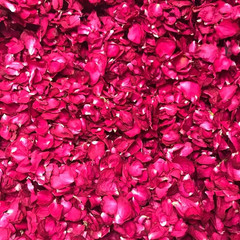 Flawrent Dried Rose Petals 50G Natural Flower Petals Real Red Rose Petals for Ba