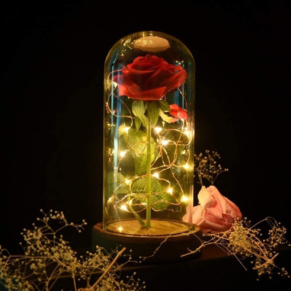 SW Preserved Rose Enchanted Red Silk in Glass Dome with LED