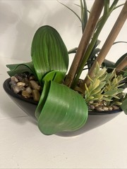 Huge Orchid Flower Display 17in Green Artificial Silk Flowers in Black Pot Faux