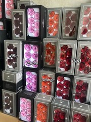 Preserved Rose FLower 6Pcs / Gift Box Head 5-5.5cm