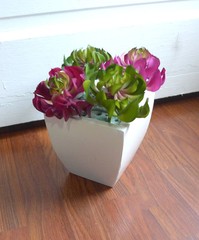 Artificial Plastic Grass 4 Sleep lotus Succulents Mini Plants Garden Landscape