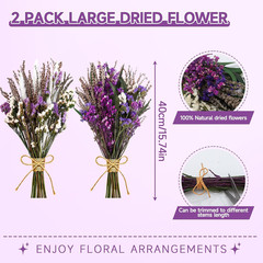 2 Pack Large Dried Flower Bouquets 15.7 Inch Lavender Baby Breath Forget Me Not