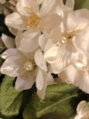 Winter Daisey Wedding Bouquet