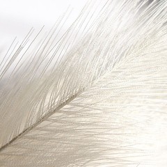 3 CREAM 44″ ARTIFICIAL Pampas Grass SPRAYS Faux Plant STEMS Party Decorations