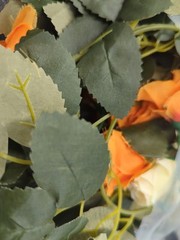3 Silk – 5 ft Artificial Peach n White Rose Vine Flowers NEW