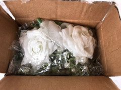 White Rose Corsage and Boutonniere Set Pearl Wristlet For Wedding 2 Pcs