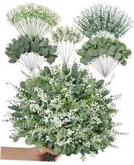 Pcs 5 Kinds Mixed Artificial Greenery Eucalyptus Stems Bulk, Babys Breath 100