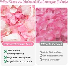 1500 Real Dried Hydrangea Flower Petals -1.06Oz Real Natural Preserved Petals