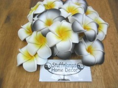Bali Frangipani Neoprene/Foam Flowers x 20(white/black) Wedding,Decoration x 7cm