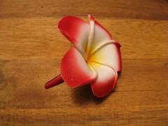 Frangipani Hairclips 7cm flower with matching color clips.