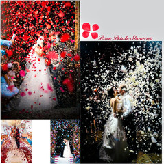 1000Pieces Rose Petals, Artificial Flower Petals Fake Rose Petals Silk Red Rose