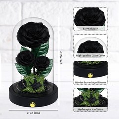 3 Preserved Flowers Roses in Glass Dome for Beauty and The Black