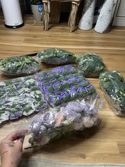 Unopened Fake Velvety Flowers And Greenery For Photo Backdrop Or Crafting