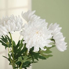 WHITE 3 Stems 27″ Silk Artificial Chrysanthemum FLOWERS Party Decorations