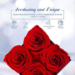 Preserved Roses in Gift Box, Real Eternal Rose Flower Gifts for Anniversary -Red