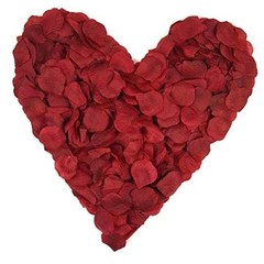 1000 Pieces Artificial Silk Rose Petals Flower Decoration Wedding Burgundy