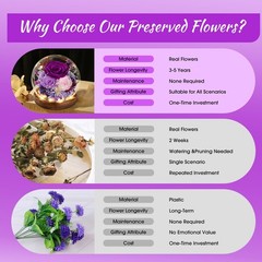 FIACO Gifts for Mom Flowers Delivery Birthday Grade A Rose, A-purple